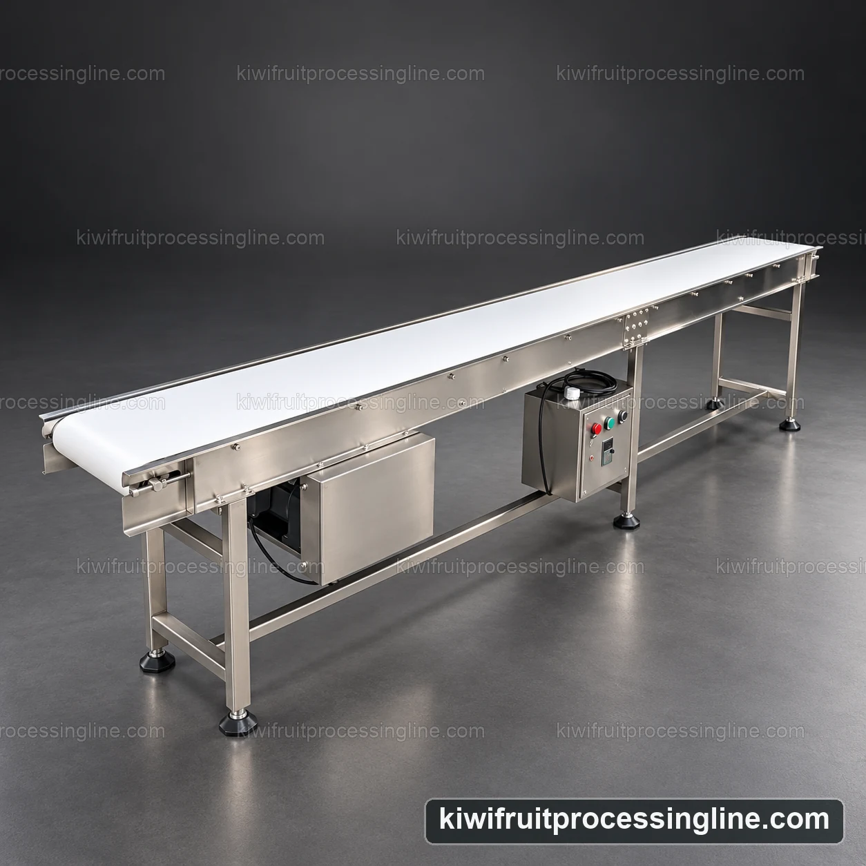 Sanitary belt conveyor arranged for manual inspection